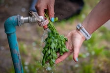 Miejska Farma Wrocław na Swojczycach. Strefa edukacyjna